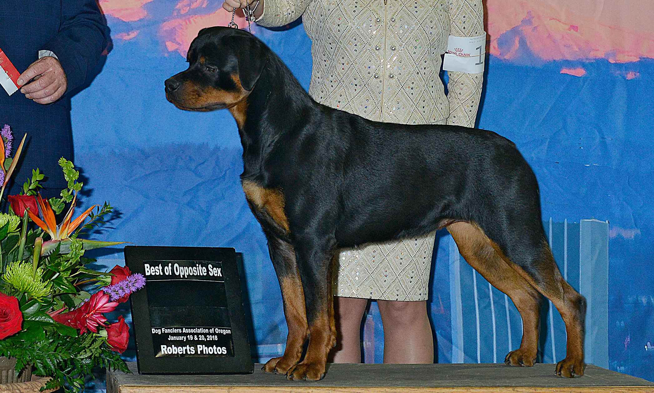 Our Dogs – Von Marc Rottweilers